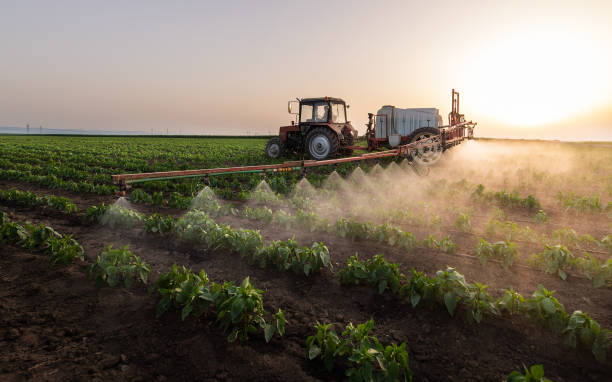 Best Wildlife Control Services  in Momence, IL