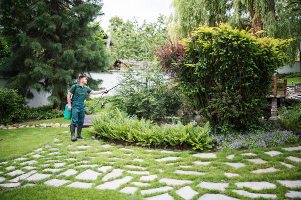 Best Pest Control Near Me  in Momence, IL