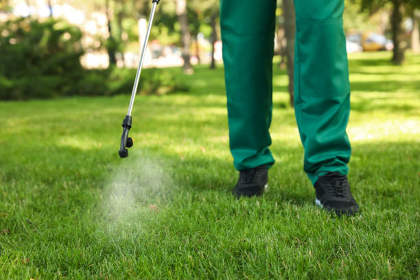 Best Emergency Pest Control  in Momence, IL