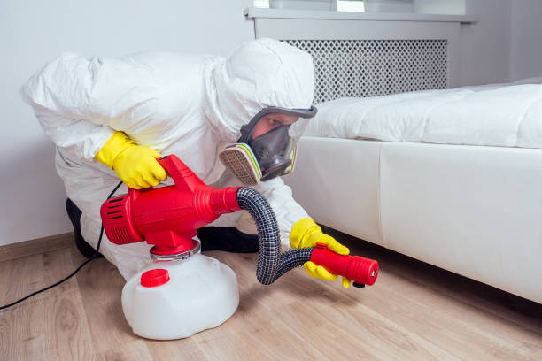 Best Best Pest Control Companies  in Momence, IL