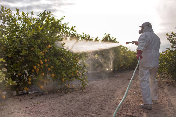 Wildlife Control Services in Momence, IL