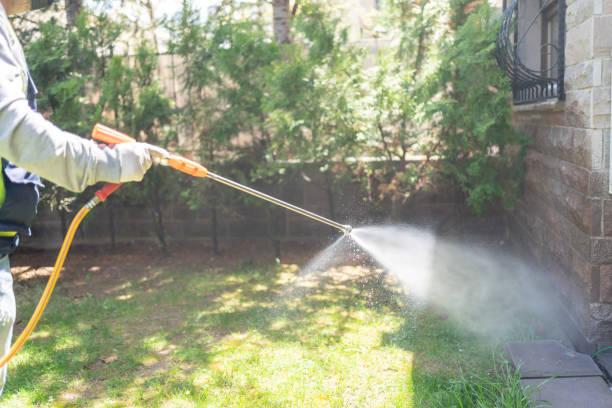 Best Residential Pest Control  in Momence, IL