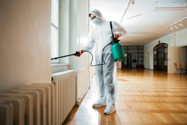 Best Pest Prevention Services  in Momence, IL